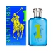 RALPH LAUREN Big Pony 1