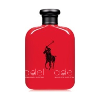 Polo Red