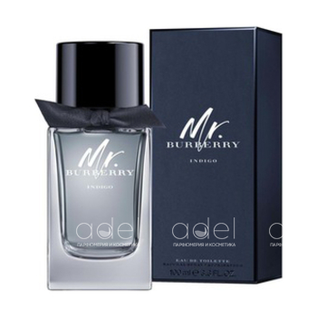Mr. Burberry Indigo