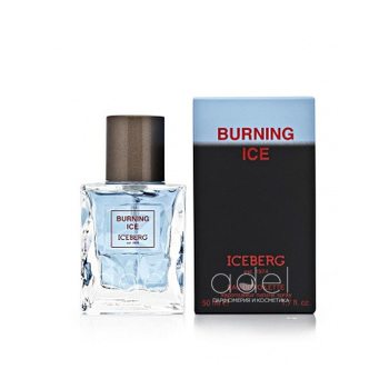 Burning Ice