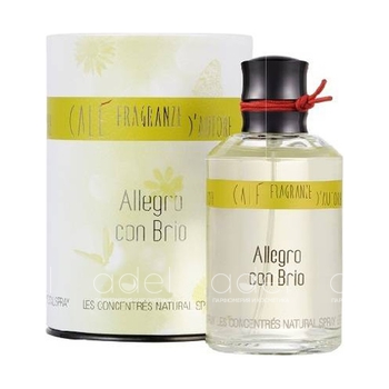 Allegro con Brio
