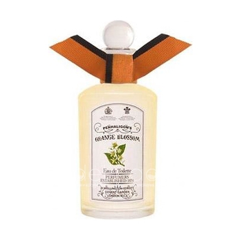 Orange Blossom