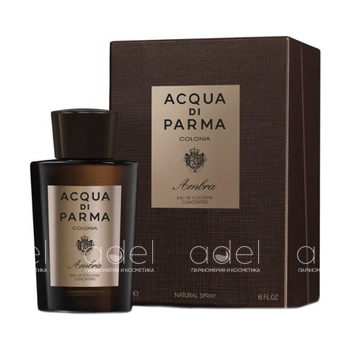 Colonia Ambra